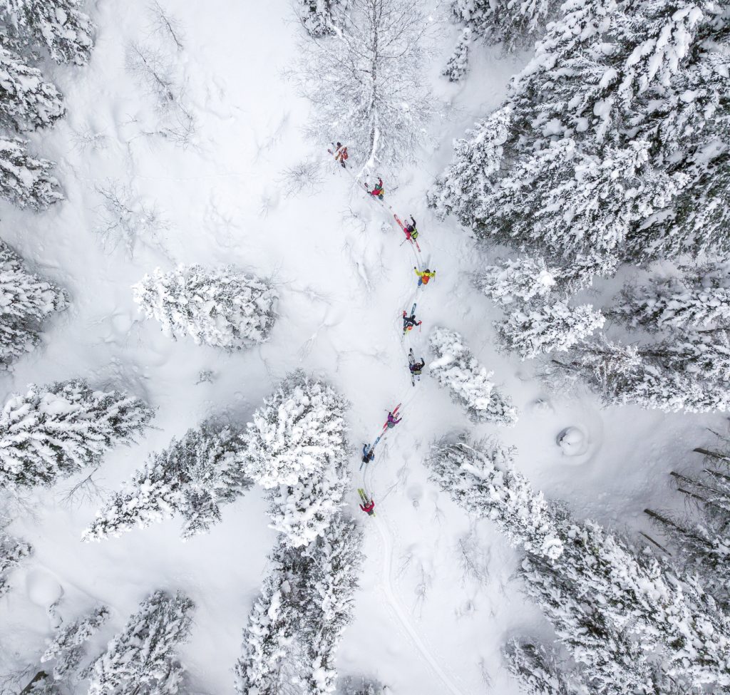 Ski en forêt : la voie de la sagesse