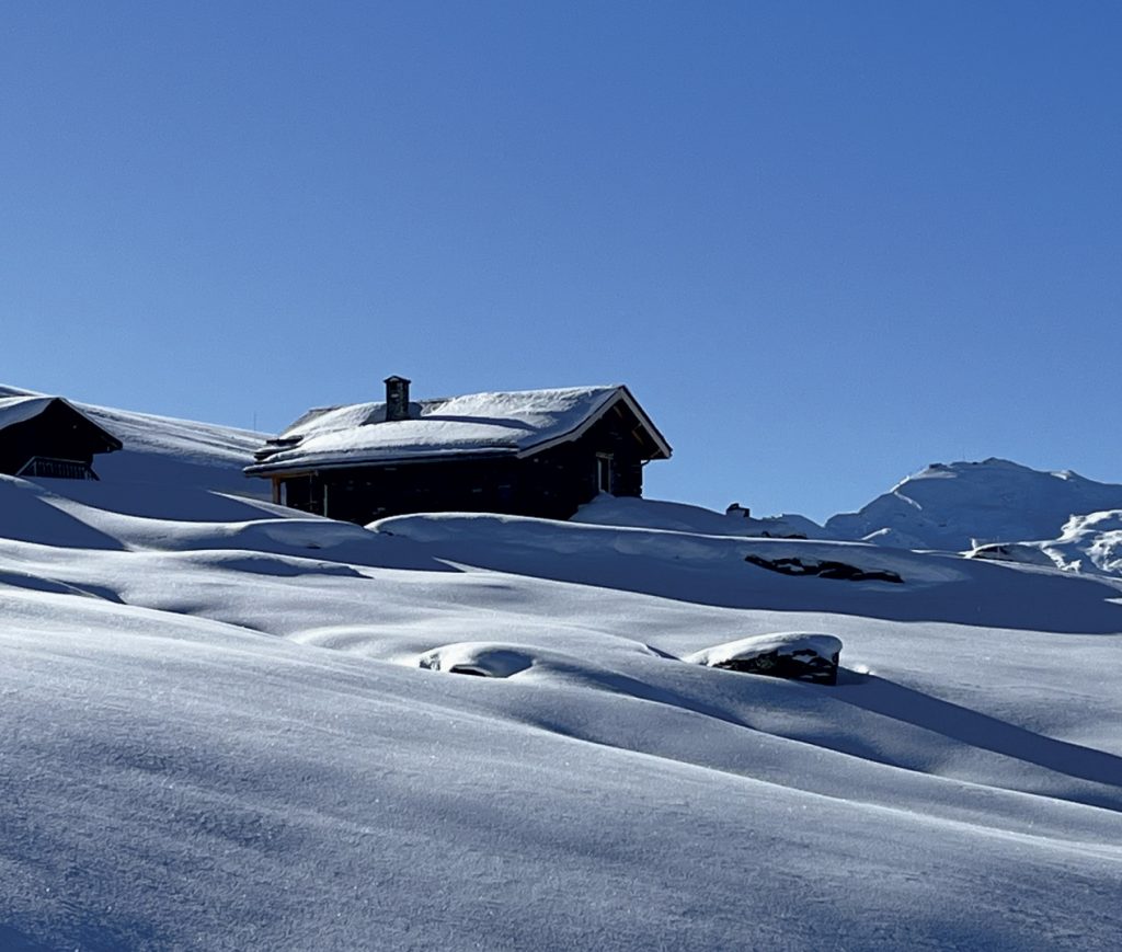 Propriétés des Alpes